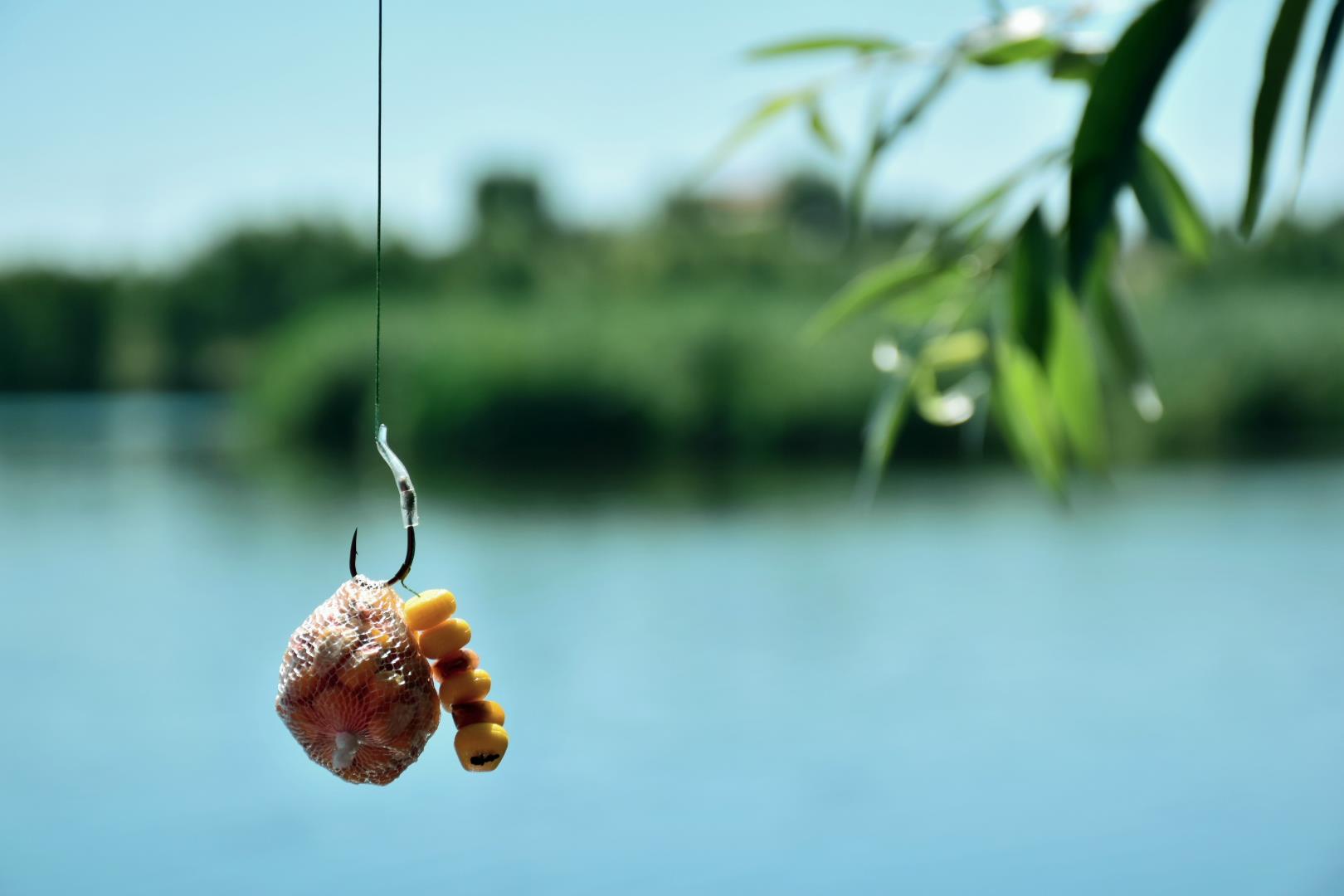 Tancabesti 13 - 15 aug. - csc0977.JPG